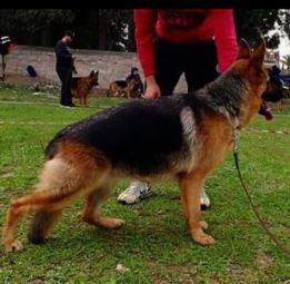 Nirvana Du Domaine De Cartage